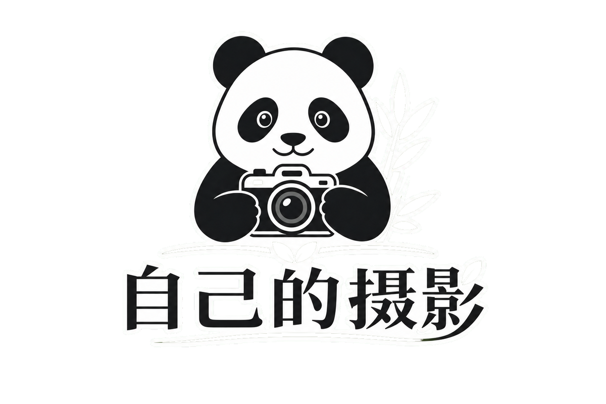911行情网站电视高清在线播放